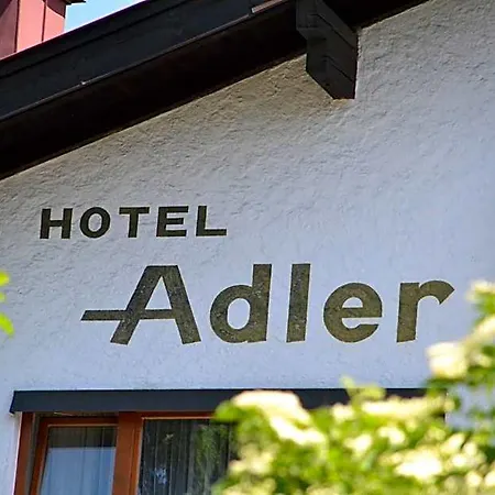 Adler Отель 3*