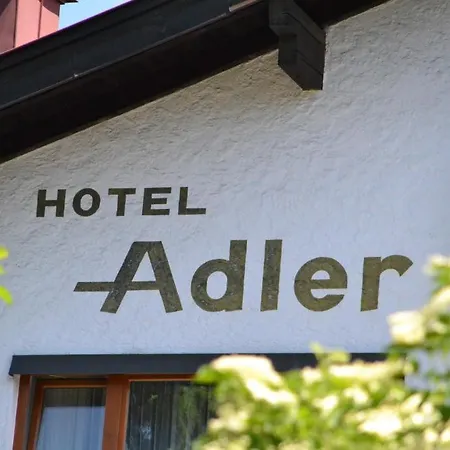 Отель Adler