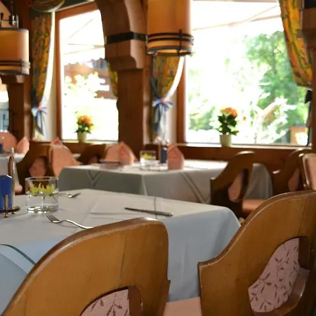Adler Oberstdorf