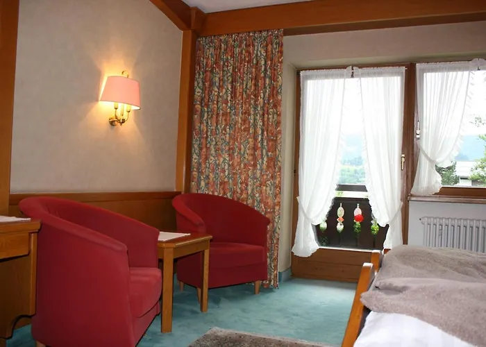 Hotel Adler 3*